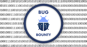 Bug Bounty Hunting